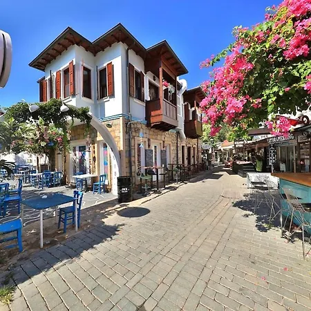 Lavantakas 2 50 Mt To Long Bazaar In Square